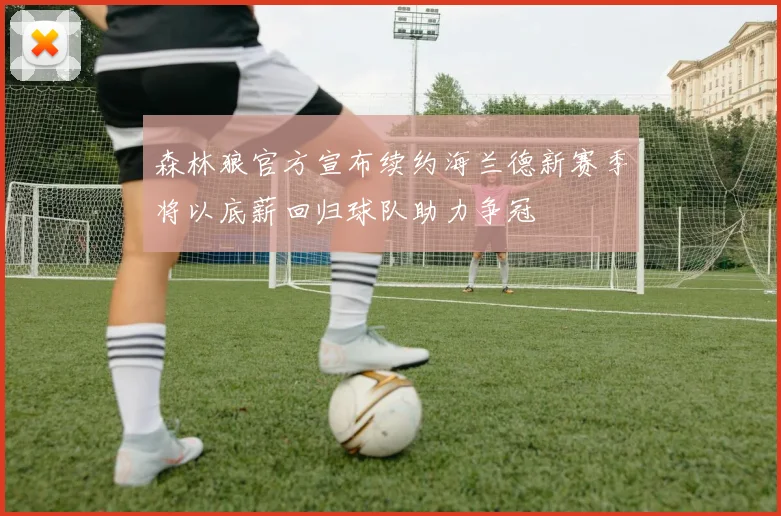 森林狼官方宣布续约海兰德新赛季将以底薪回归球队助力争冠