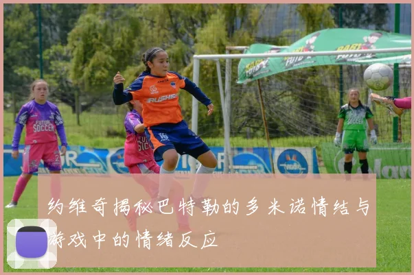 约维奇揭秘巴特勒的多米诺情结与游戏中的情绪反应