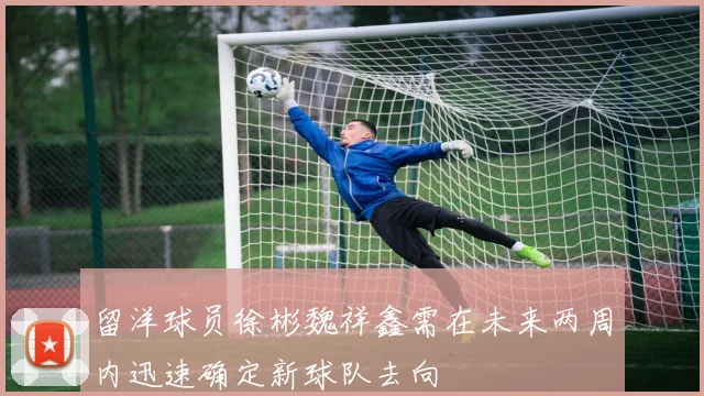 留洋球员徐彬魏祥鑫需在未来两周内迅速确定新球队去向